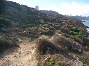 ORAN AUTOUR DE LA TEJERA PAR NOEL LOPEZ DE LA TRINITE SUR MER (32)